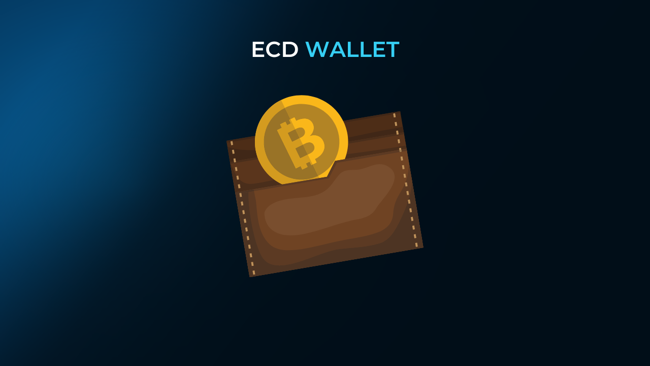 can a digital wallet hold multiple cryptocurrencies